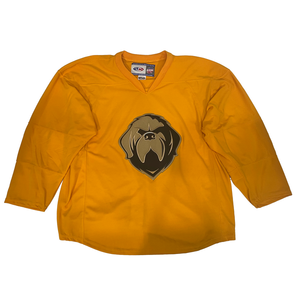 Athletic Knit - Used ECHL Practice Jersey (Yellow)